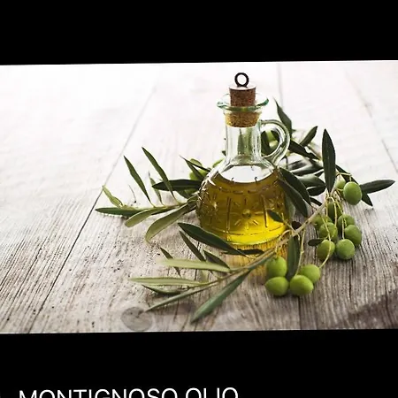 Tuscany House Of Artist Апартаменты Монтиньйозо